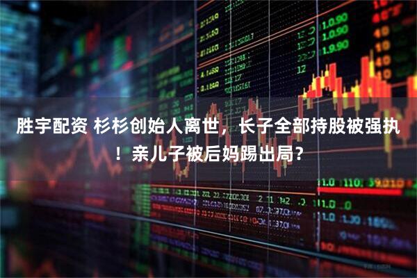 胜宇配资 杉杉创始人离世，长子全部持股被强执！亲儿子被后妈踢出局？